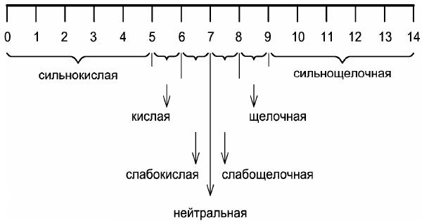 шкала pH